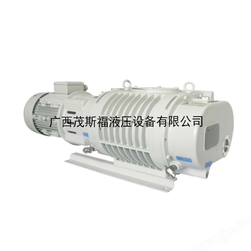 普諾克PNK MR 9000T羅茨真空泵