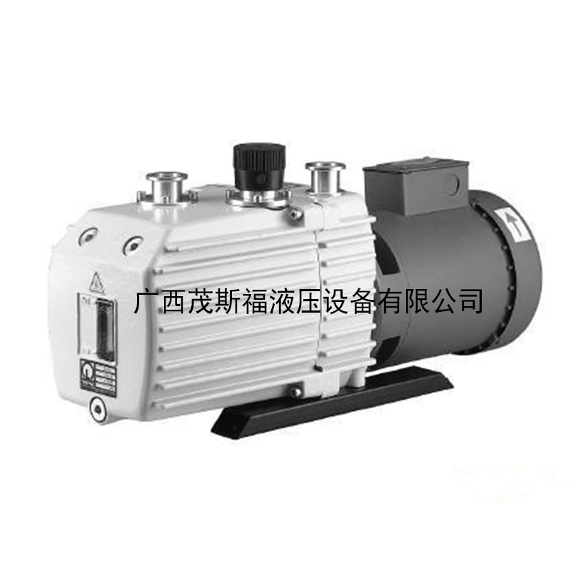 D30C雙級(jí)旋片式真空泵